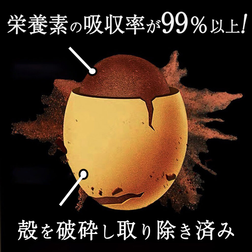 破壁とは・栄養素の吸収率が99%以上・殻を破砕し、取り除き済みの赤霊芝の粉末
