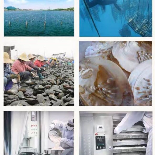 真珠　粉末　製造　製品　品質　加工　工程　たんぽぽ本舗