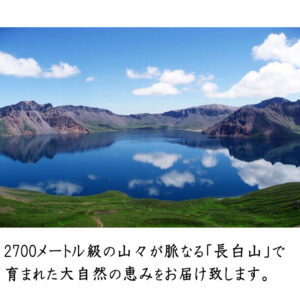 長白山　たんぽぽ本舗　大自然の恵み　2700メートル級　無農薬　野生　自生　無添加