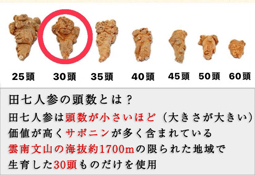 田七人参の頭数 田七人参は頭数が小さいほど（大きさが大きい）価値が高くサポニンが多く含まれている 雲南文山の海抜約1700mの限られた地域で生育した30頭ものだけを使用