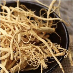 tanpopo-038