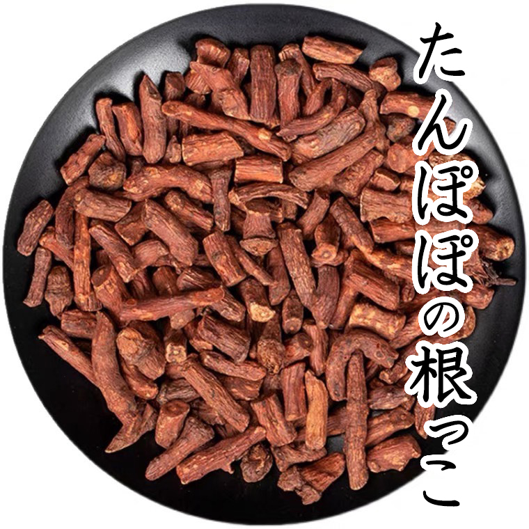 たんぽぽの根っこ 100g たんぽぽ茶 たんぽぽコーヒー たんぽぽ