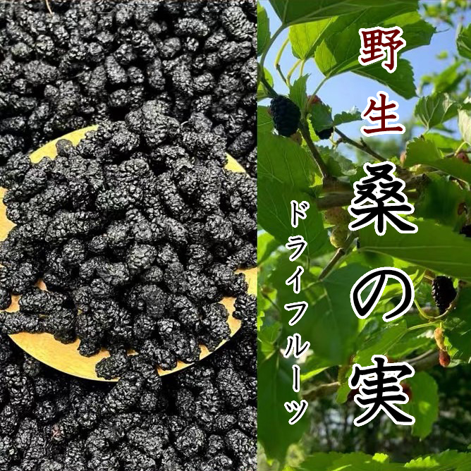桑の実（乾燥）100g ドライフルーツ マルベリー 野生 たんぽぽ