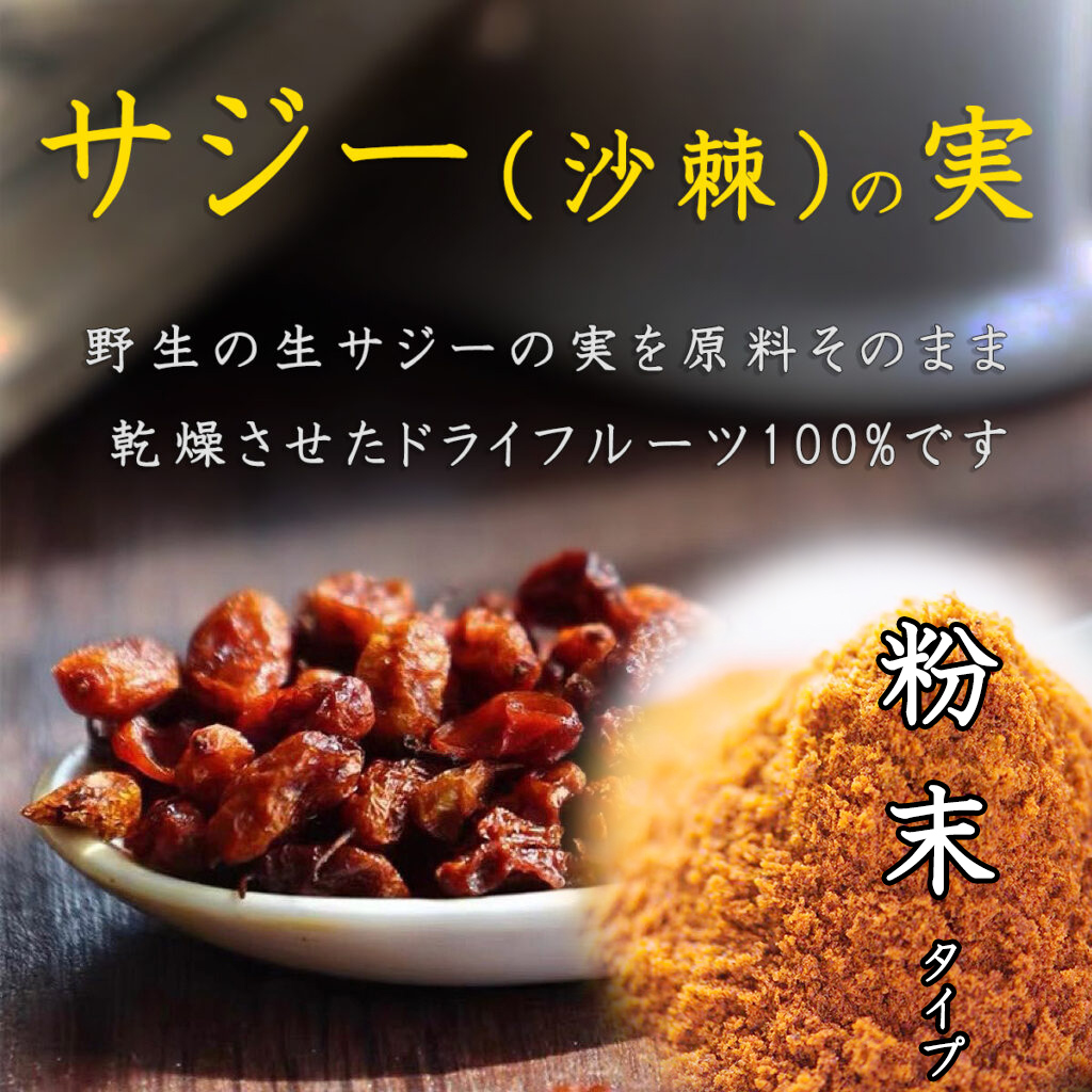 サジーの実・粉末（ドライサジー） 50g 沙棘の実 乾燥 新疆野生 原料そのまま 無添加 たんぽぽ本舗