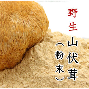 やまぶしたけ（乾物）100g 粉末加工 山伏茸 野生 猿頭きのこ ほうとうくう ヤマブシタケパウダー たんぽぽ本舗