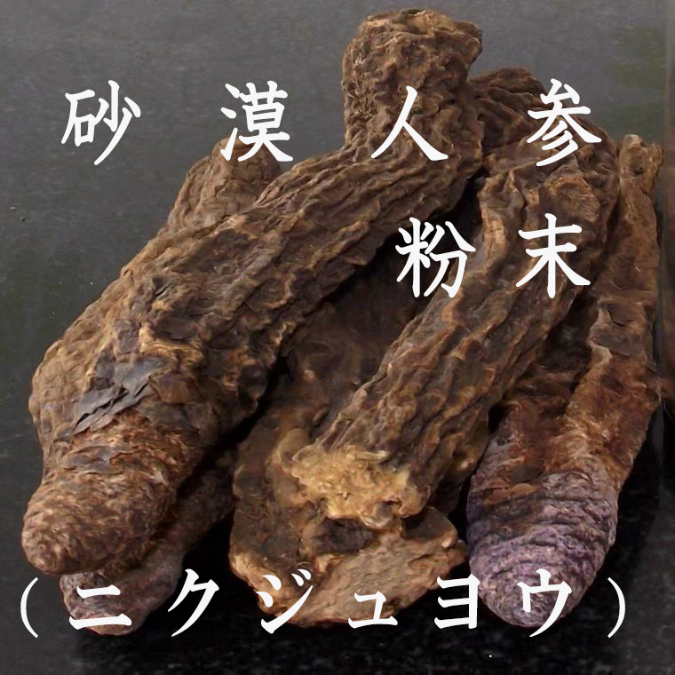 tanpopo-062