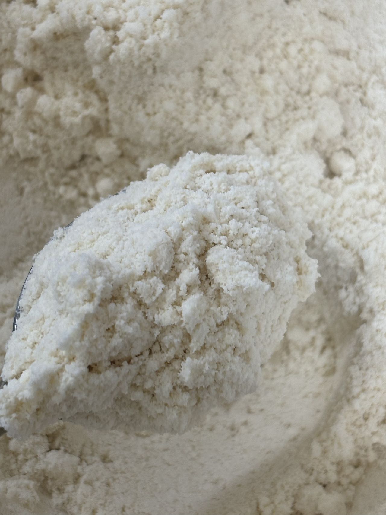 杏仁粉末（生）100g 杏仁豆腐 砂糖不使用・無添加100% 杏仁のみ