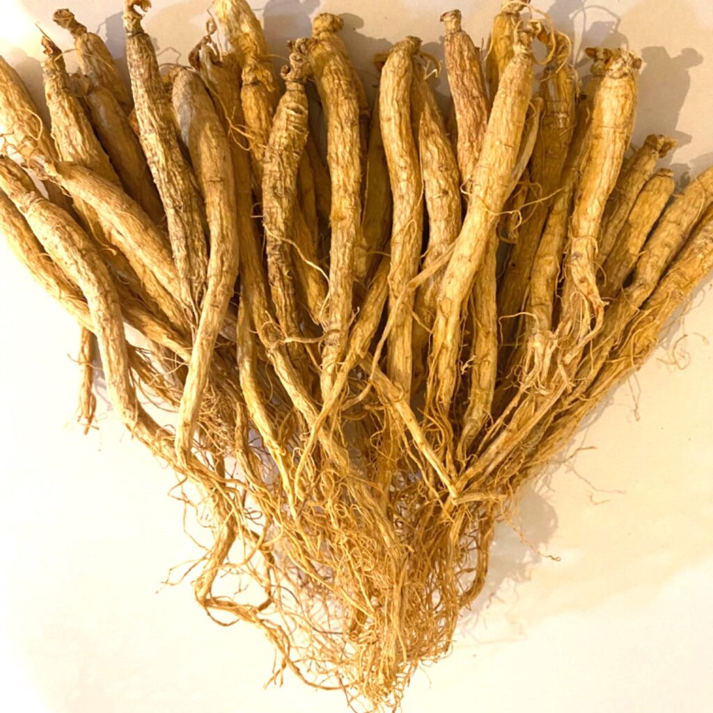 高麗人参 約30本 長白山白参 100g そのまま乾燥 野生環境露地栽培