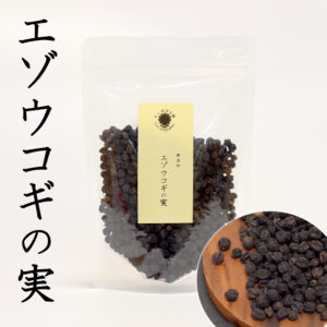 エゾウコギの実（種）100g エゾウコギ シベリア人参の種実 シゴカ（刺五加） 原料そのまま乾燥ドライ 漉してお茶などで たんぽぽ本舗