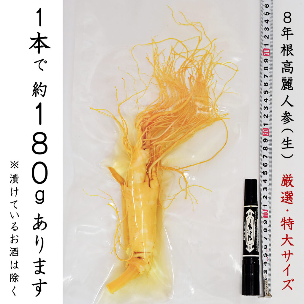 8年根高麗人参(生) 1本180g 特大サイズ　大自然のパワー 超級に育った大変貴重な特大サイズの8年根朝鮮人参（姿）たんぽぽ本舗