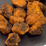 カバノアナタケ（チャーガ）粉末 100g 森のダイヤモンド 中国（シベリア側）寒冷地産 白樺などに寄生する希少キノコ 姿のまま（乾燥）タイプも たんぽぽ本舗