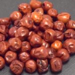 酸棗（野生核太棗）100g 無添加 ドライ乾燥 サネブトナツメたんぽぽ本舗