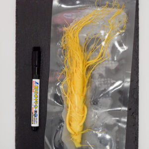 高麗人参(生)・6年根の厳選１本　薬膳酒用 特別料理素材 長白山産 野生環境露地栽培 厳選された6年根朝鮮人参（姿）たんぽぽ本舗